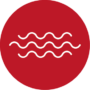 carcacter 1